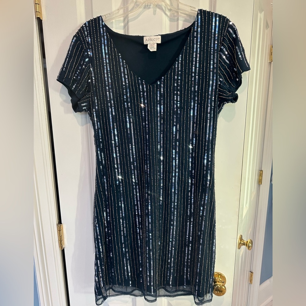 Apricot boutique brand sequin dress